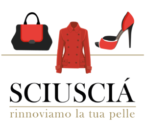 Riparazione borse Louis Vuitton - Sciuscia Padova